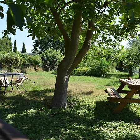 mobil-home sur terrain bucolique Hyères Extérieur photo